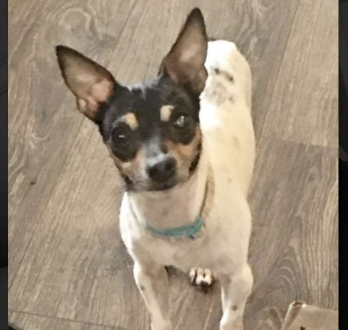 Photo of Mamie  in Foster Carr