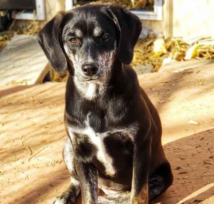 Photo of Tara Cowgill