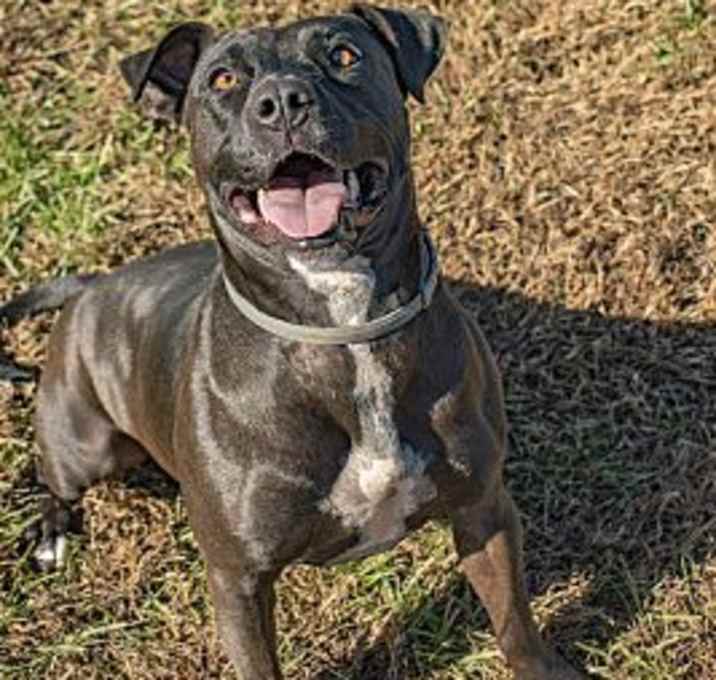 Photo of Morticia Fee Reduced!