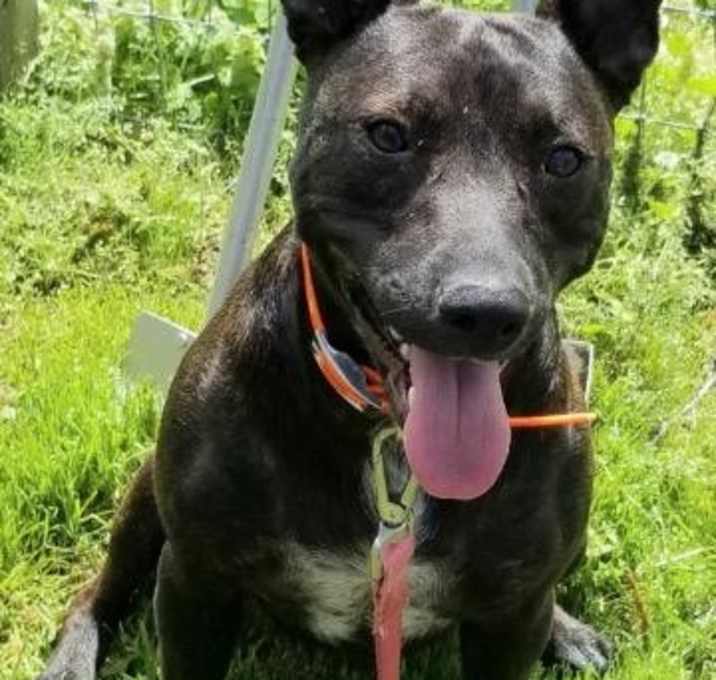 Photo of Jodi Jenkins