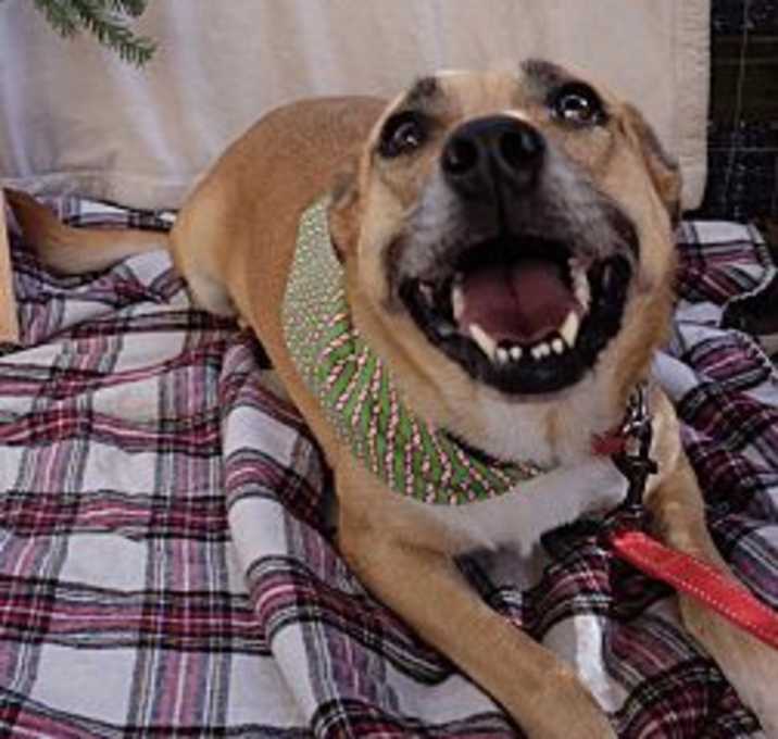 Photo of Sandie. I will talk to you!!