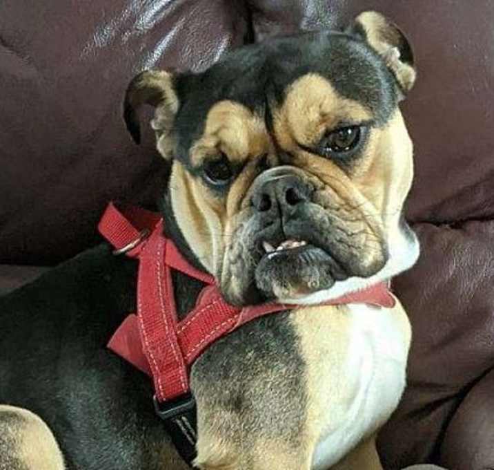 Photo of Miss Peepers