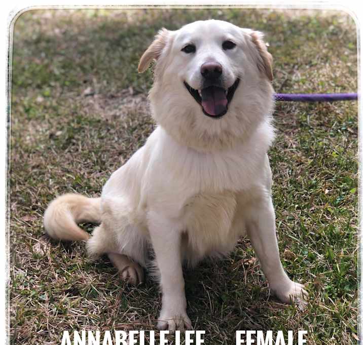 Photo of Annabelle Lee