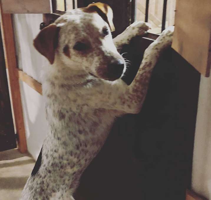 Photo of George Harrison