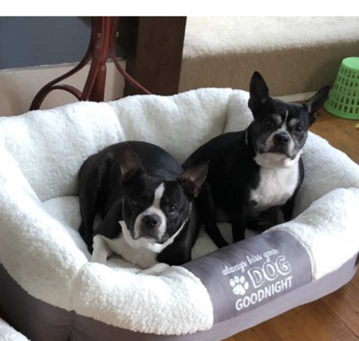 Photo of Neeka and Ella