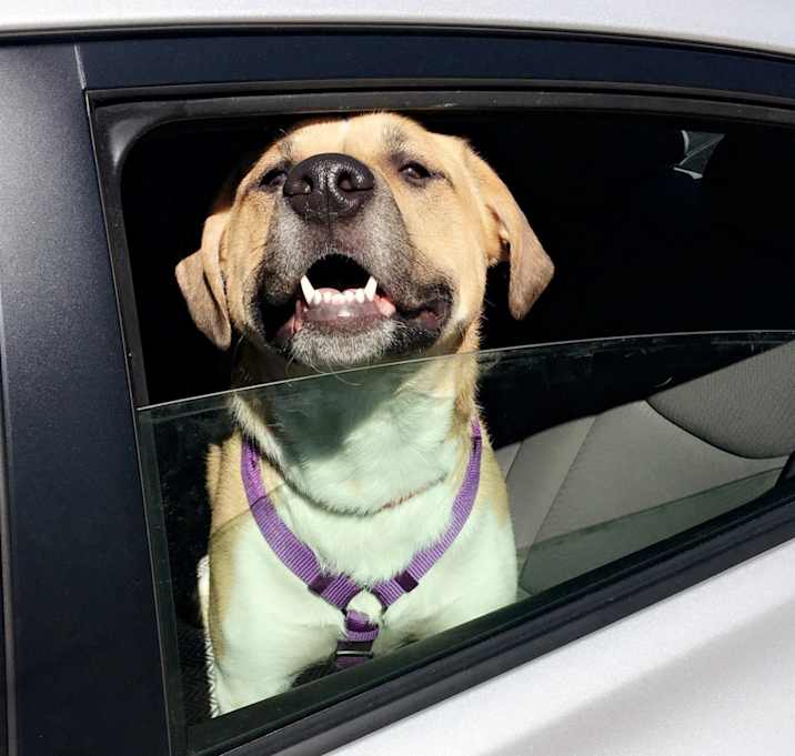 Photo of Peyton Marie