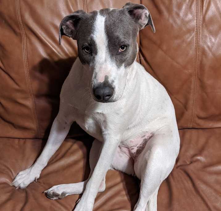 Photo of Daisy aka Dancer SL