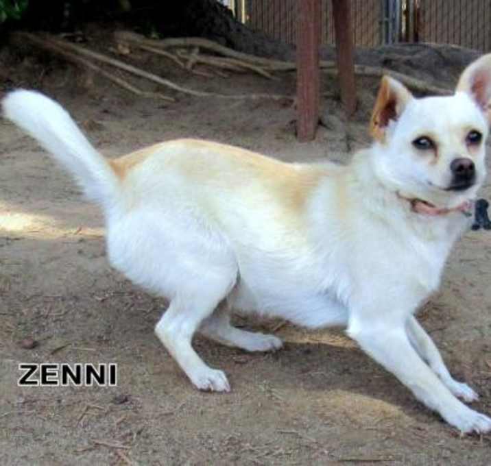 Photo of Zenni