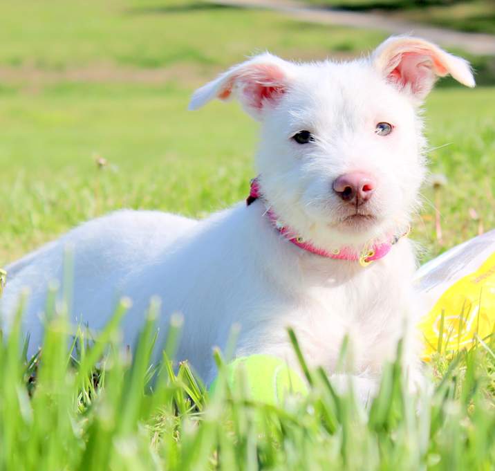 Photo of Zerelda James~adopted!