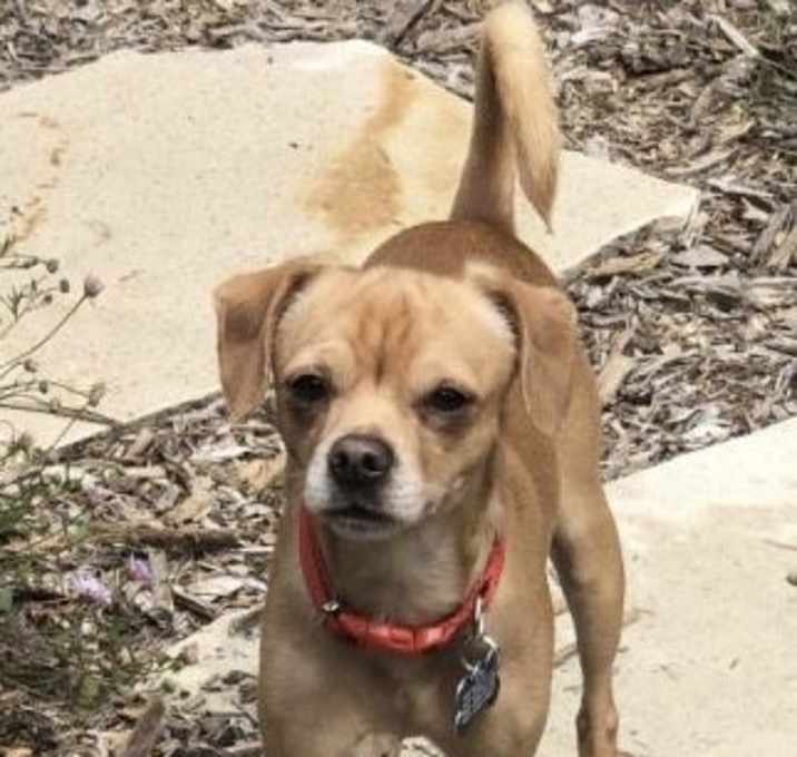 Photo of Stuart Little