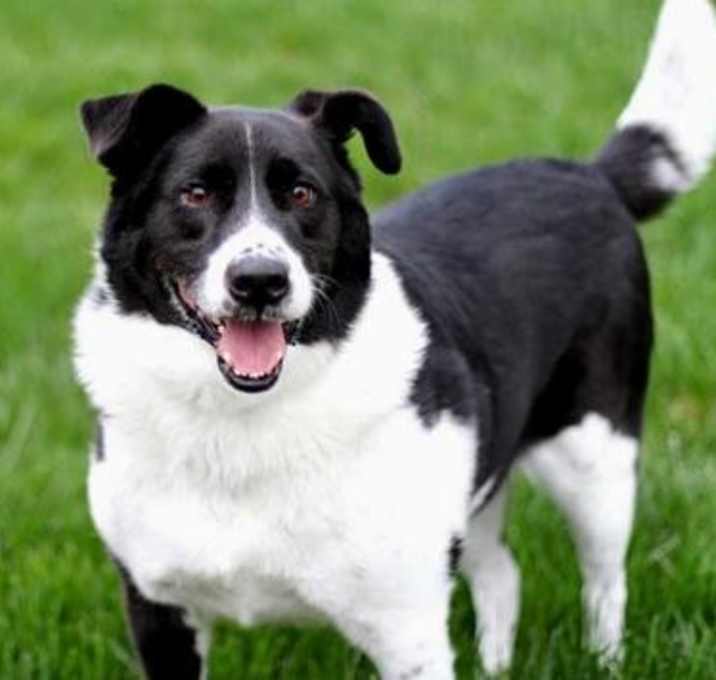 Photo of HUGH JACKMAN