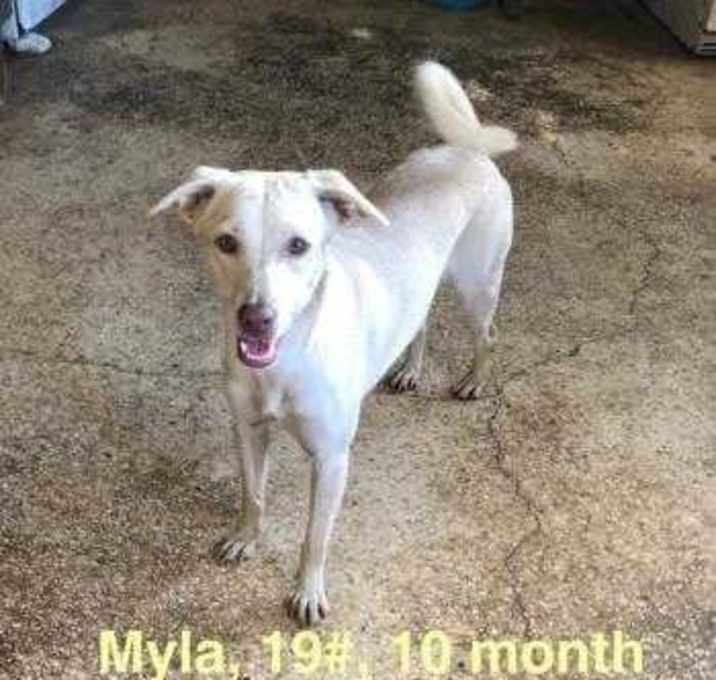 Photo of Myla
