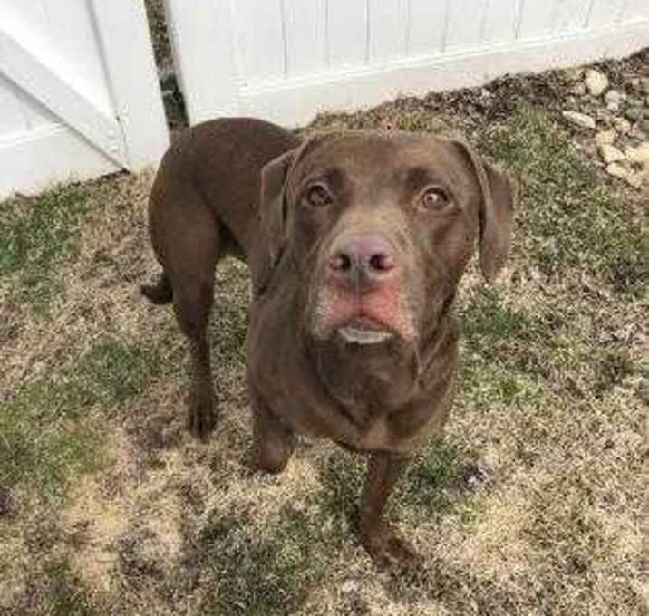 Photo of Charlie Brown