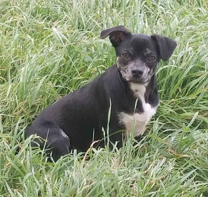 Photo of Biggie Smalls NR