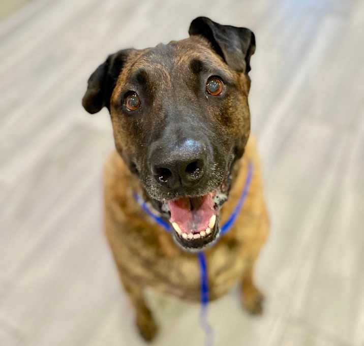 Photo of Hanz and Franz