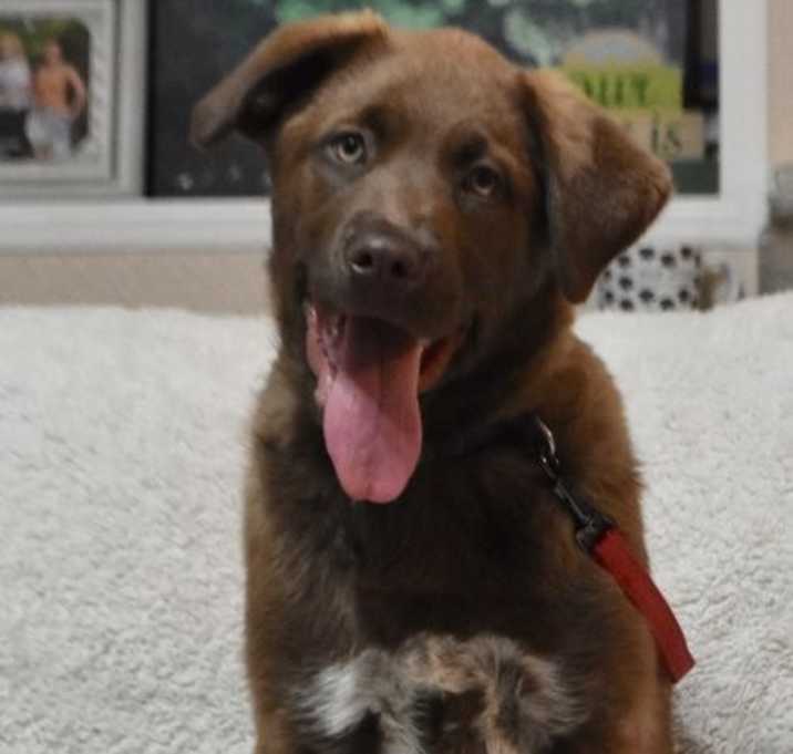 Photo of Derek Hough