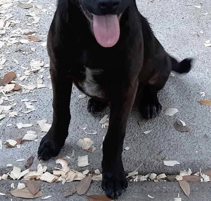 Photo of Blackjack in TEXAS