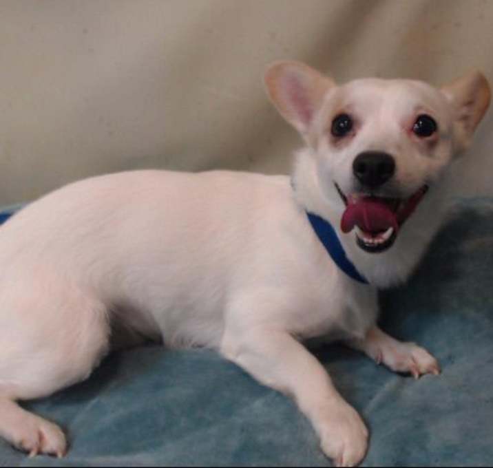 Photo of URGENT on 4/5@DEVORE SanBern