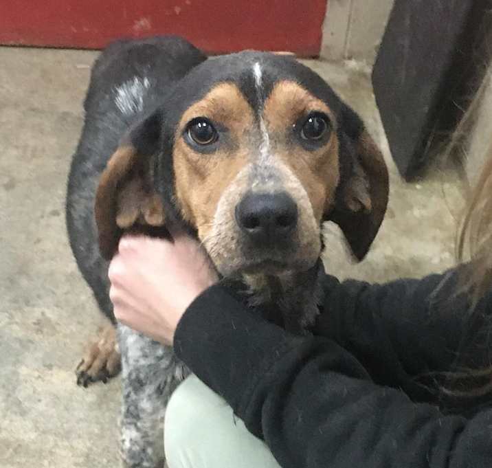 Photo of Sophie(PENDING!)