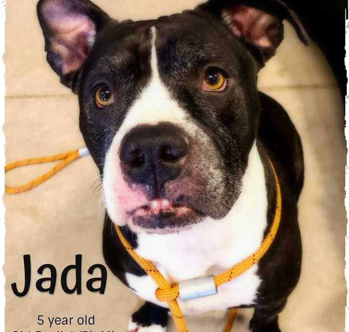 Photo of Jada