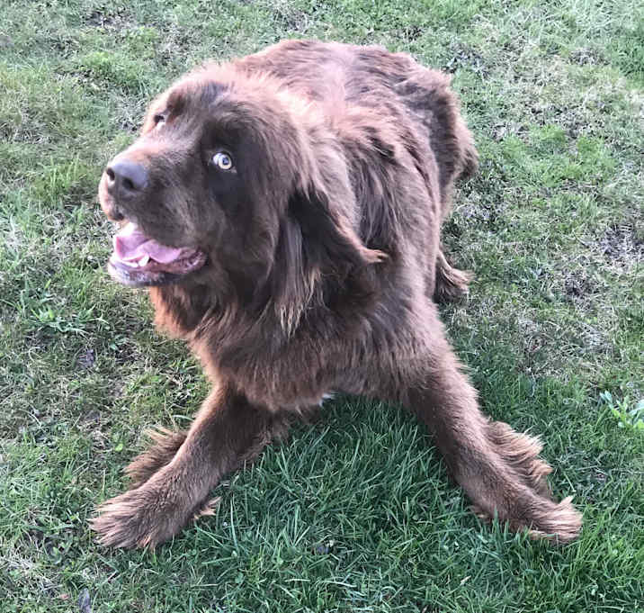 Photo of Please dont share - Bell