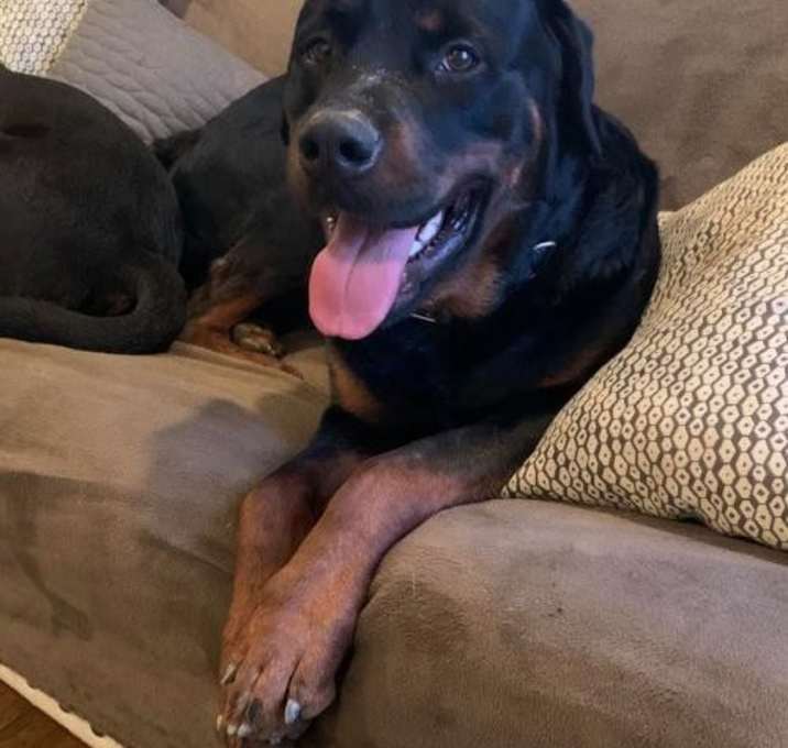 Photo of The amazing Tony Stark