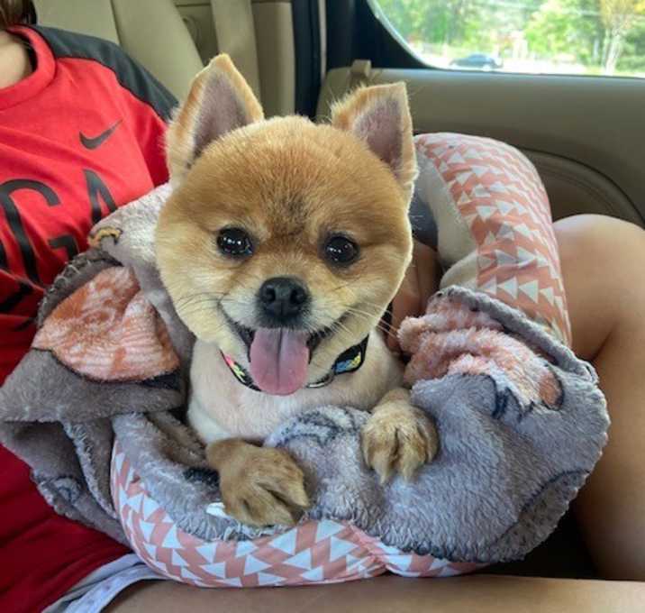 Photo of Molli Marie