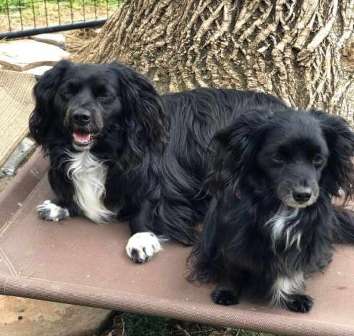 Photo of Teddy B & The Rock