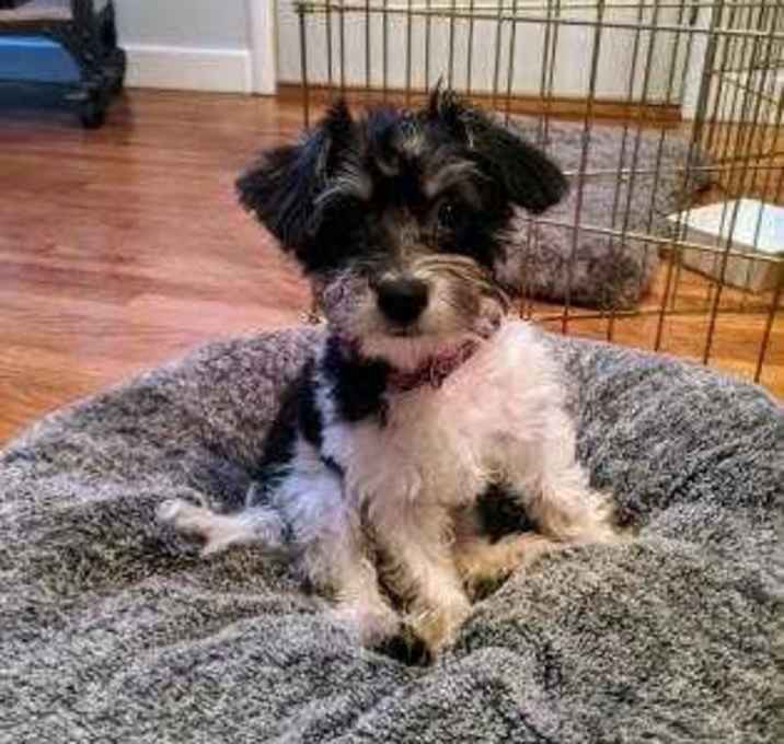 Photo of Steak Sandwich