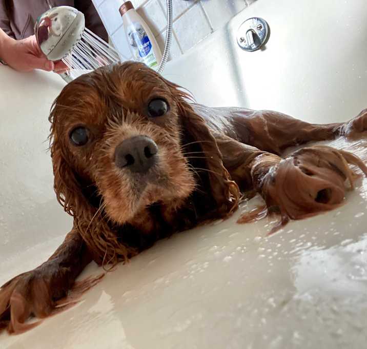 Photo of Kramer 10yr