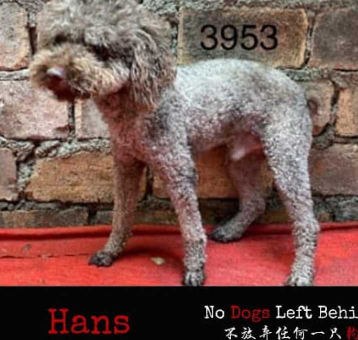 Photo of Hans