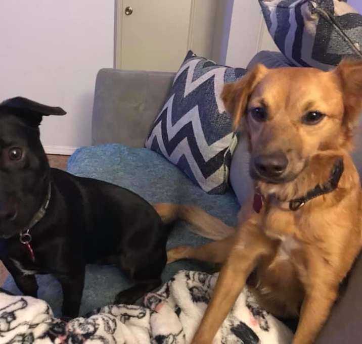 Photo of Cher & Sombra