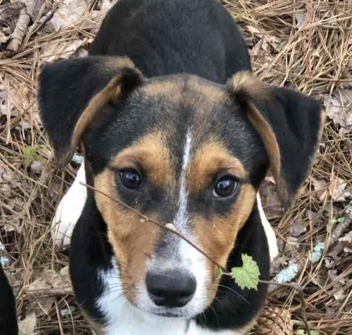 Photo of Magnum P.I.  L