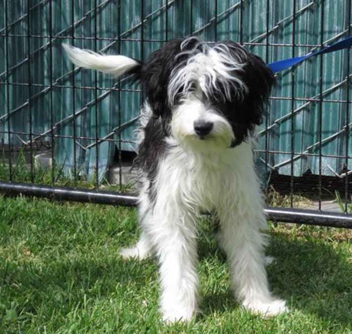 Photo of URGENT 4/4 @ DEVORE