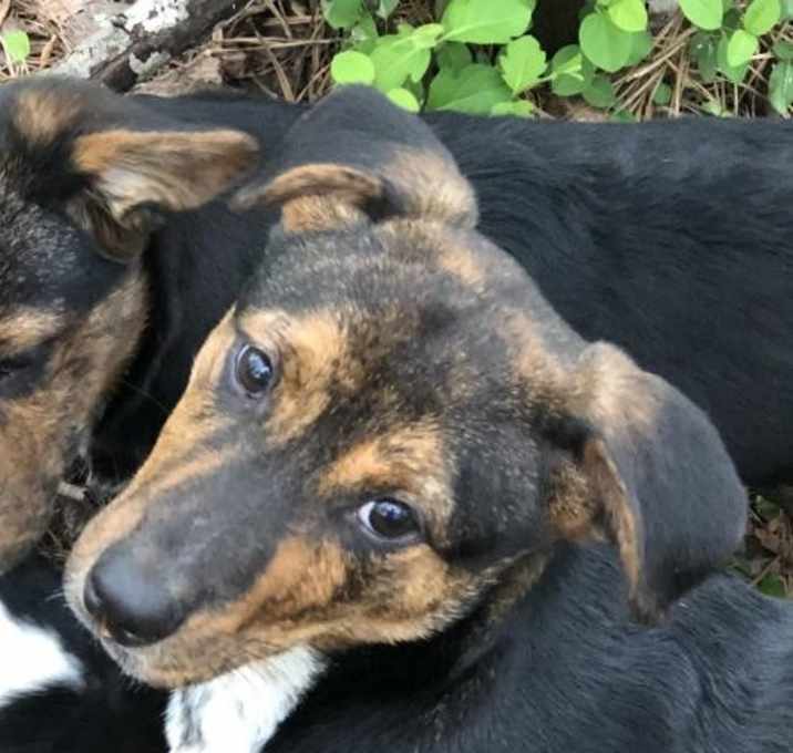 Photo of Velma Dinkley L