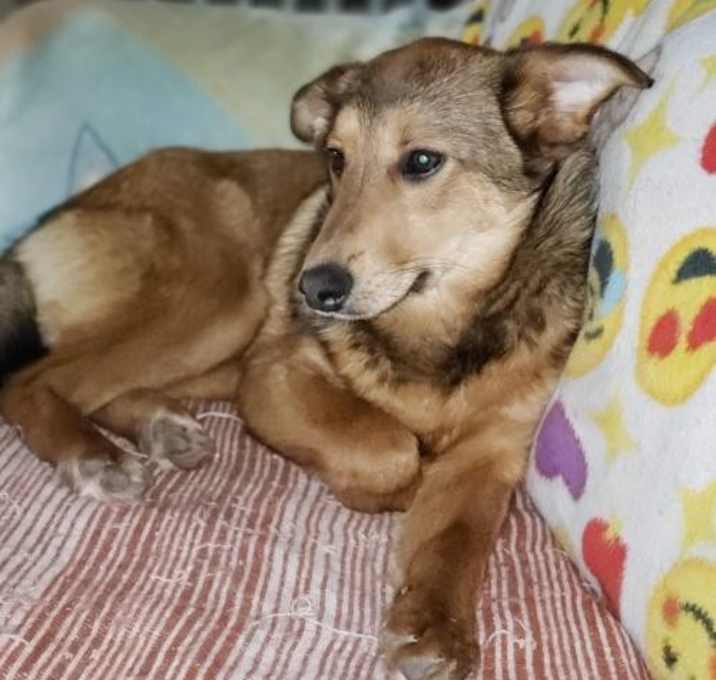 Photo of W Litter: WAKELIEGH