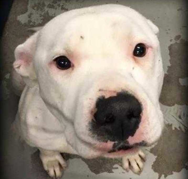 Photo of TalleyByars