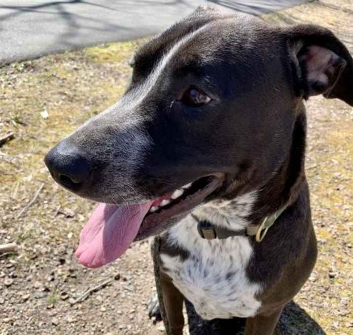 Photo of ScaDoodle   IN PA!!!