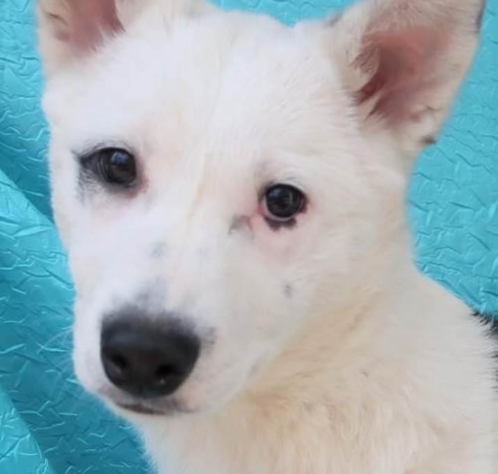 Photo of Bella Geiger