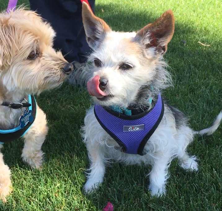 Photo of PRINCE & MURPHY