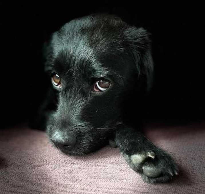 Photo of Tammy in RI