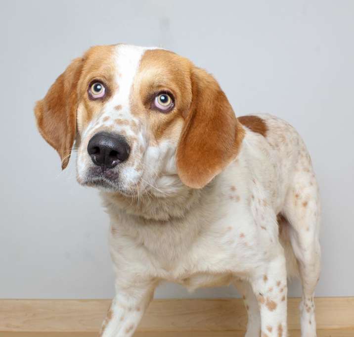 Photo of Chance D15072