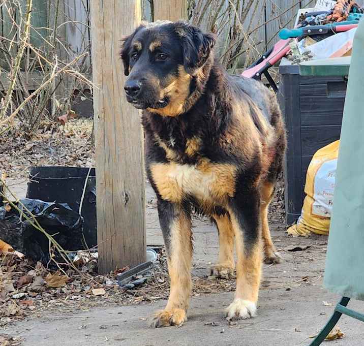 Photo of River D15161