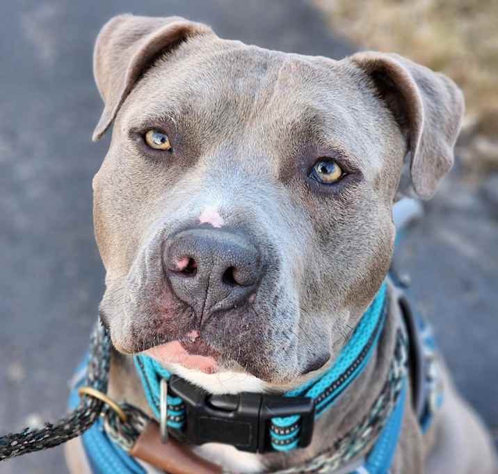 Photo of Bourbon D15666