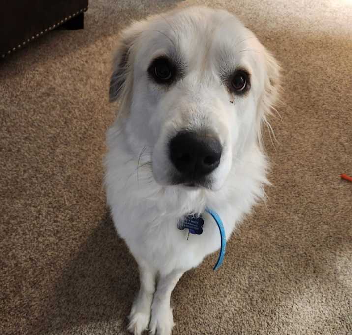 Photo of Betty White