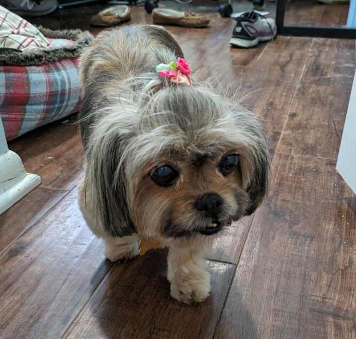 Photo of Noel D15064