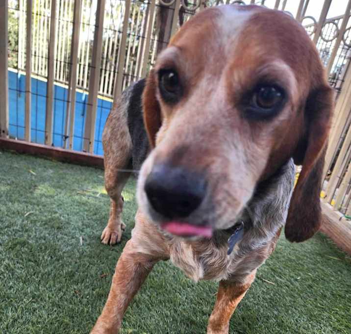 Photo of Gracie - Costa Mesa Location