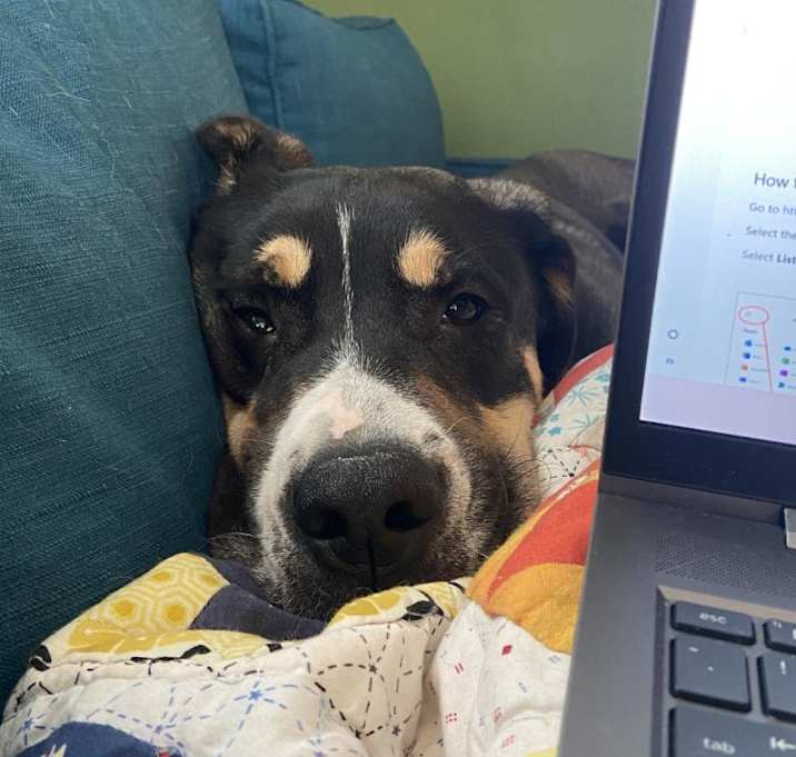 Photo of Butch D15160