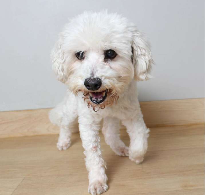 Photo of Casey D16009