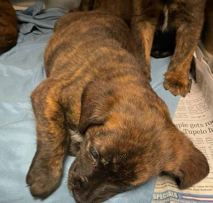 Photo of Rey- 042602S